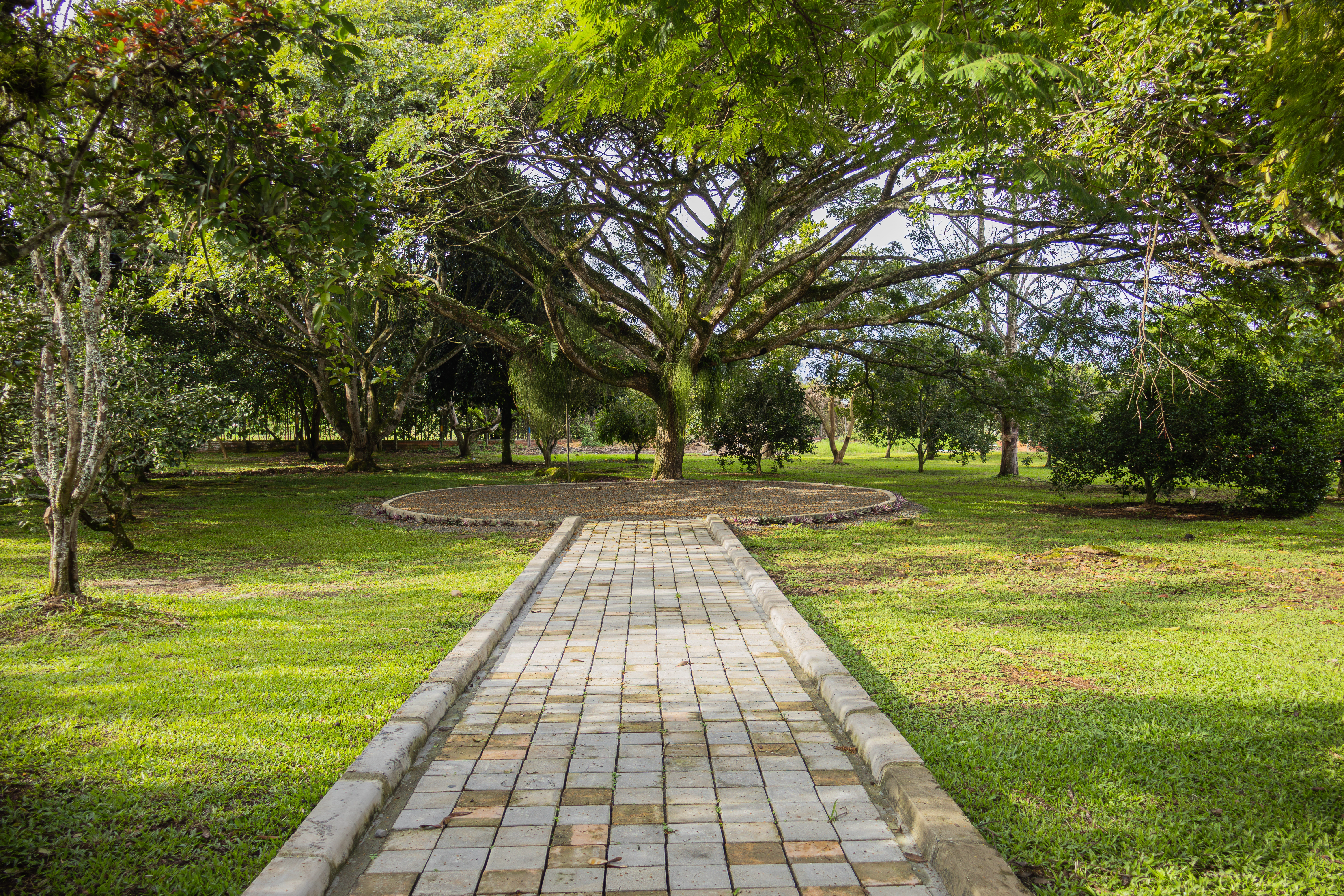 Espacios de entretenimiento